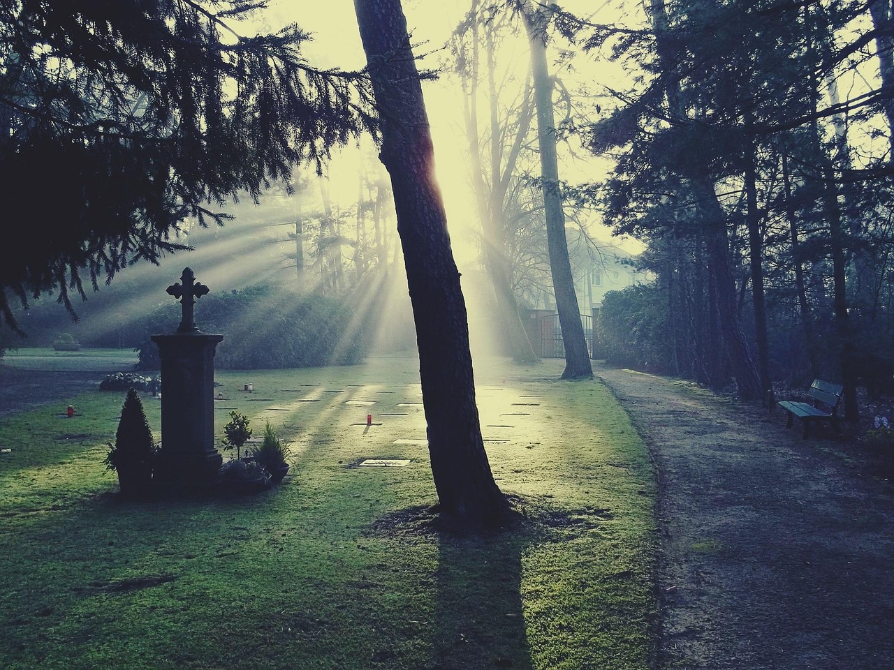 看了《寻梦环游记》后，为啥说死亡不是生命的终点？