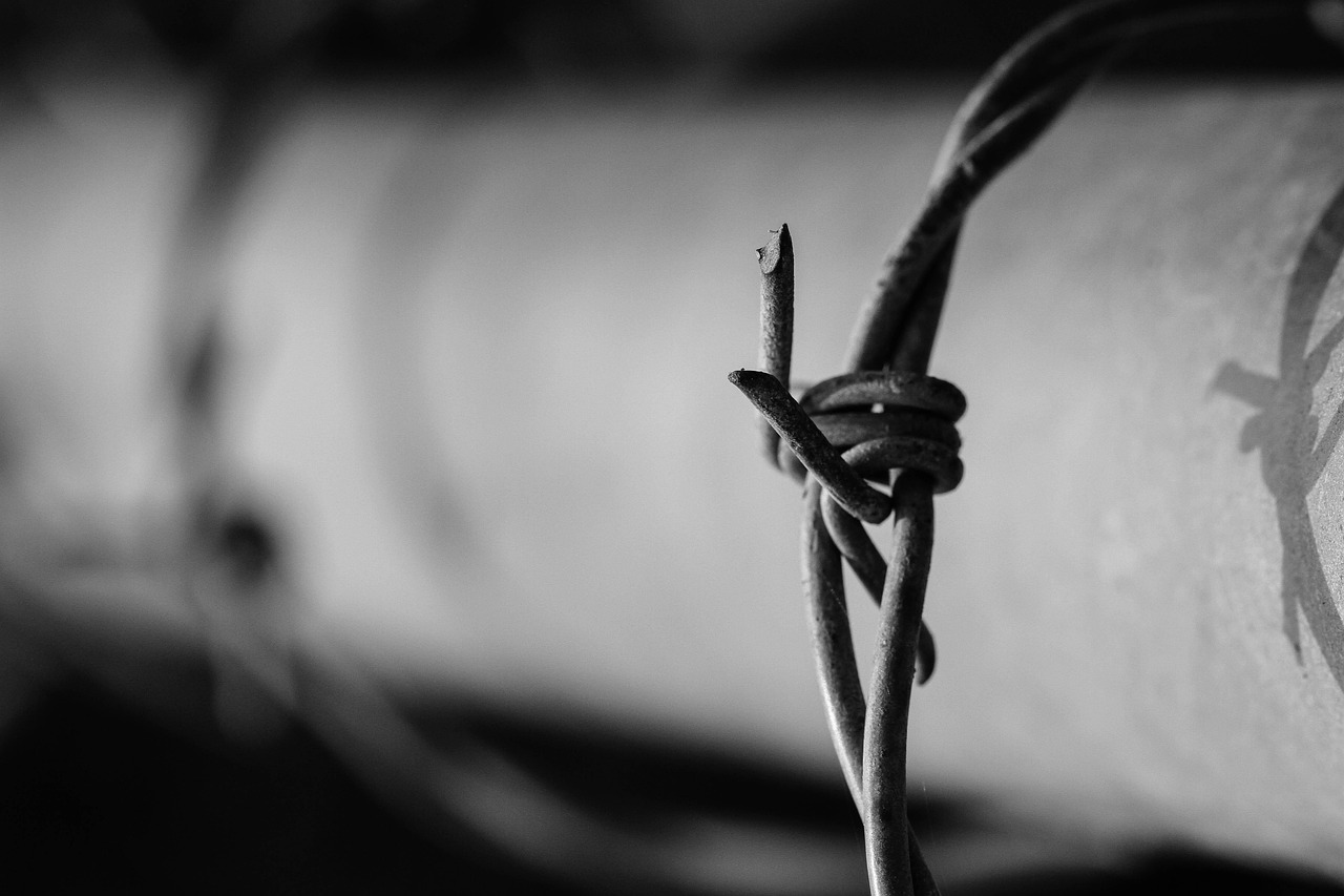 《发条橙》影评，探讨人性与自由意志的边界