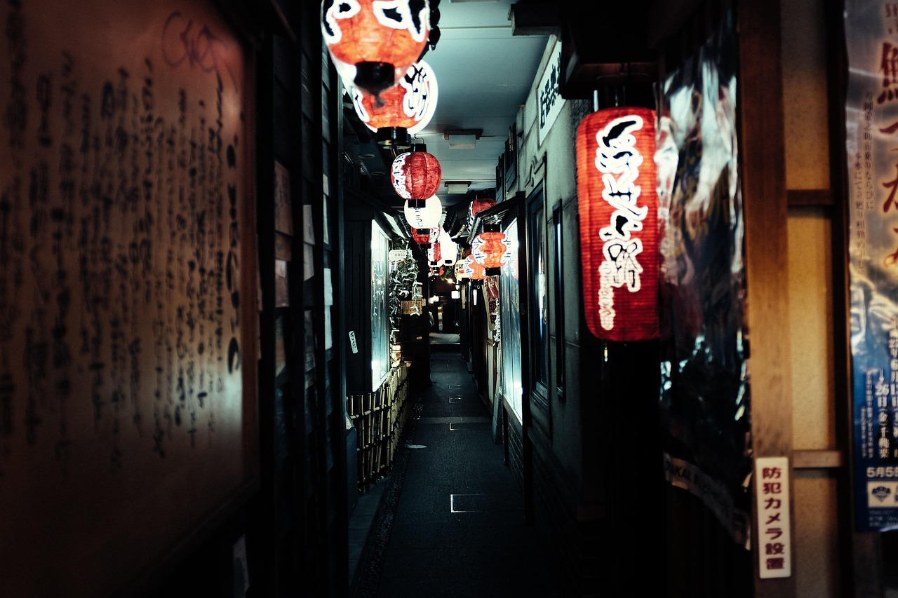 《桥（2008年版）》影视解说，深度解析与观众体验