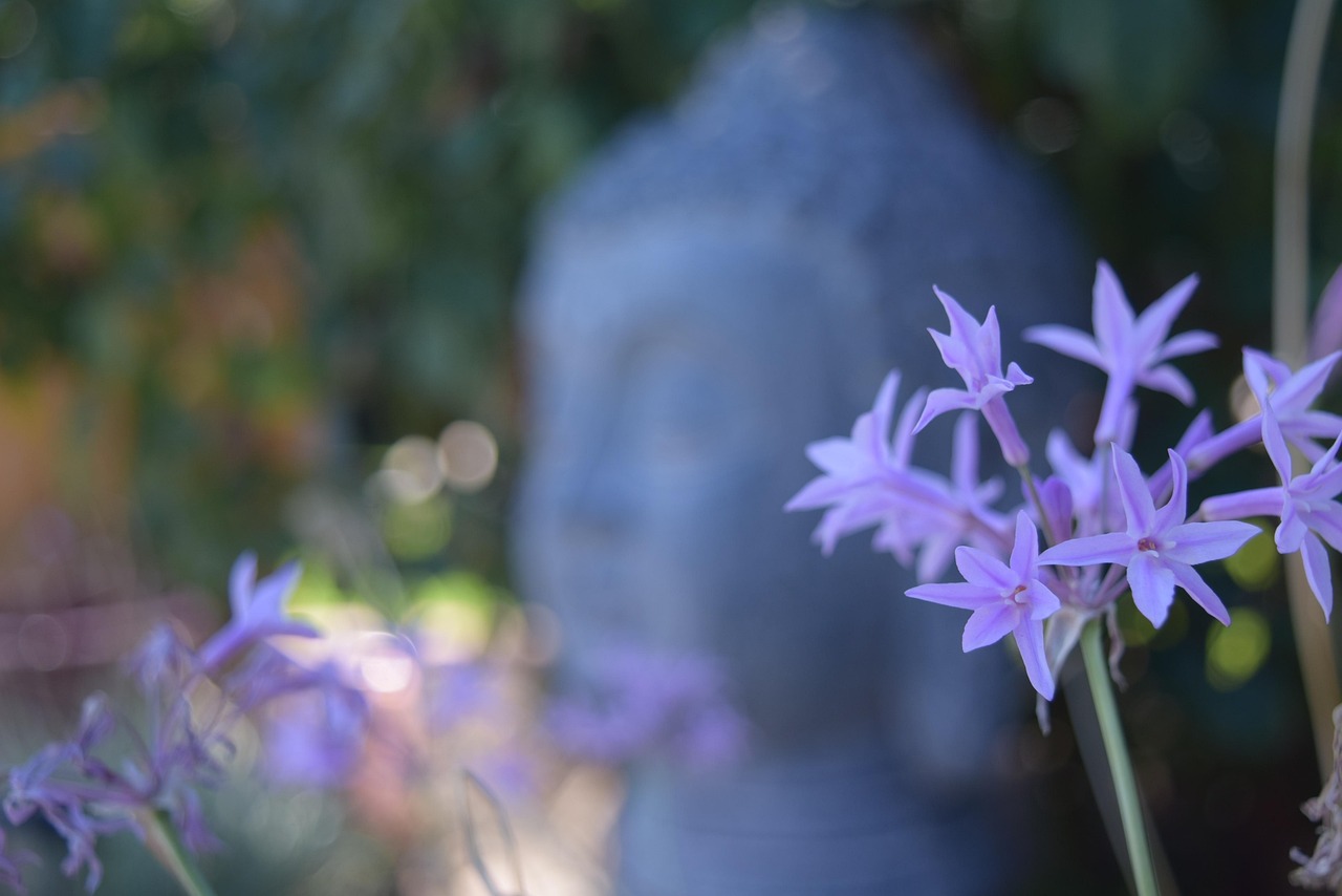《心花路放》影视解说，你真的看懂了吗？深度解读与观众评价