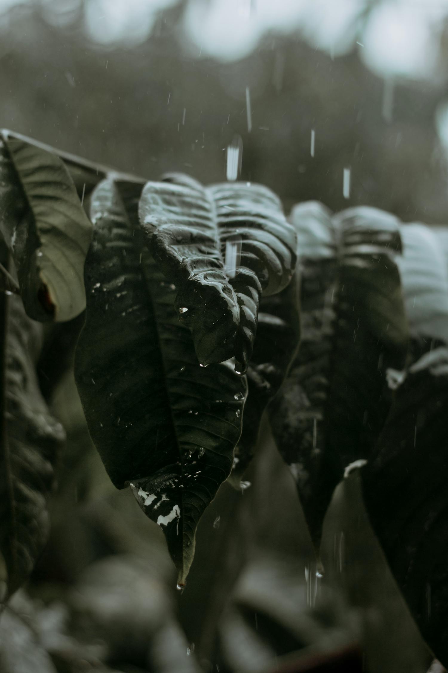 《乘风破浪》影视解说，深度解析与情感共鸣