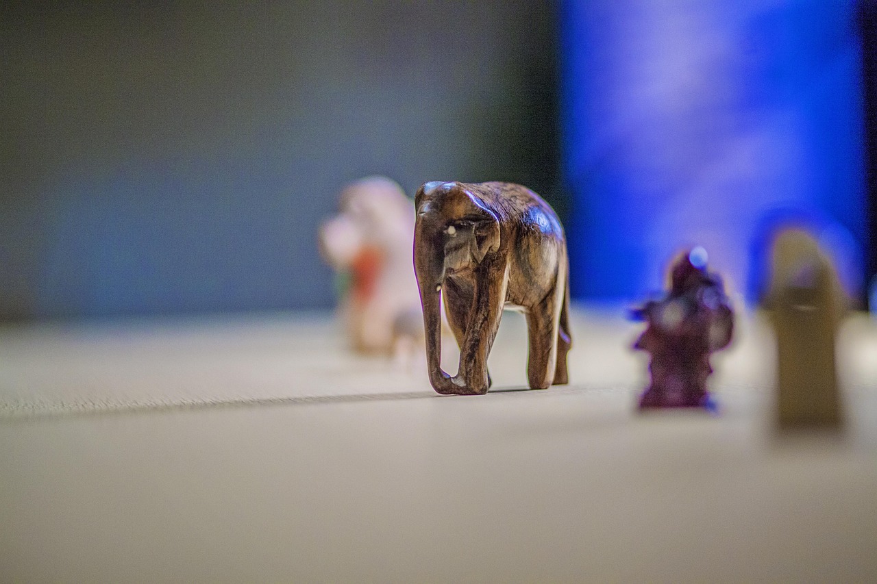 《小舍得》影视解说,剧情解析与角色深度探讨 《小舍得》影视解说,剧情解析与角色深度探讨