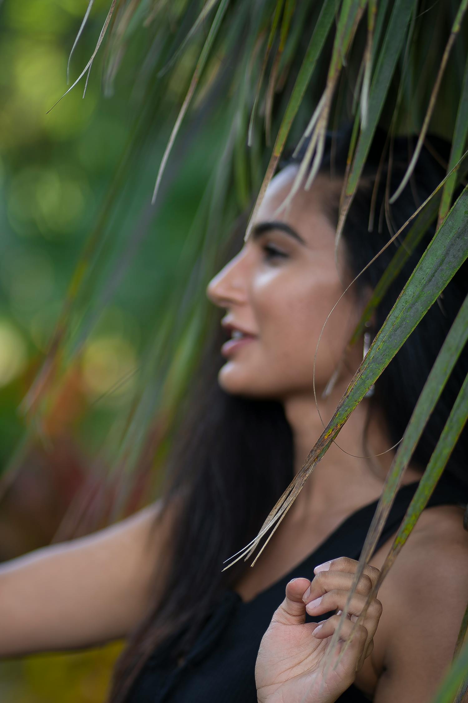 《知否知否应是绿肥红瘦》影视解说,剧情解析与角色魅力 《知否知否应是绿肥红瘦》影视解说,剧情解析与角色魅力