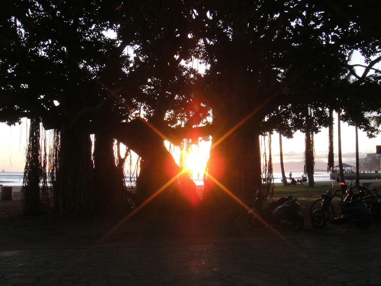 《夕阳染红的街道》影评：电影情感表达, 剧情深度解析, 视觉艺术欣赏