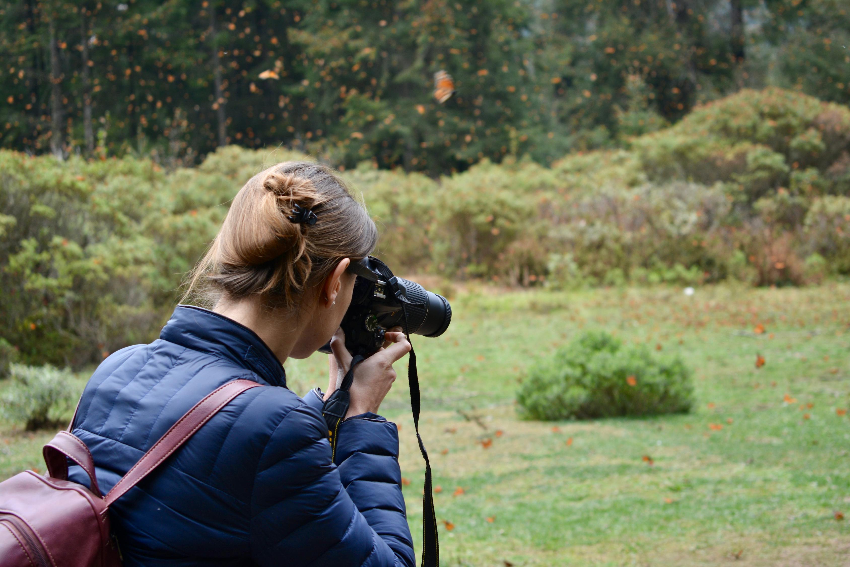 《公主时间》影评：电影深度解析，情感共鸣与艺术魅力？