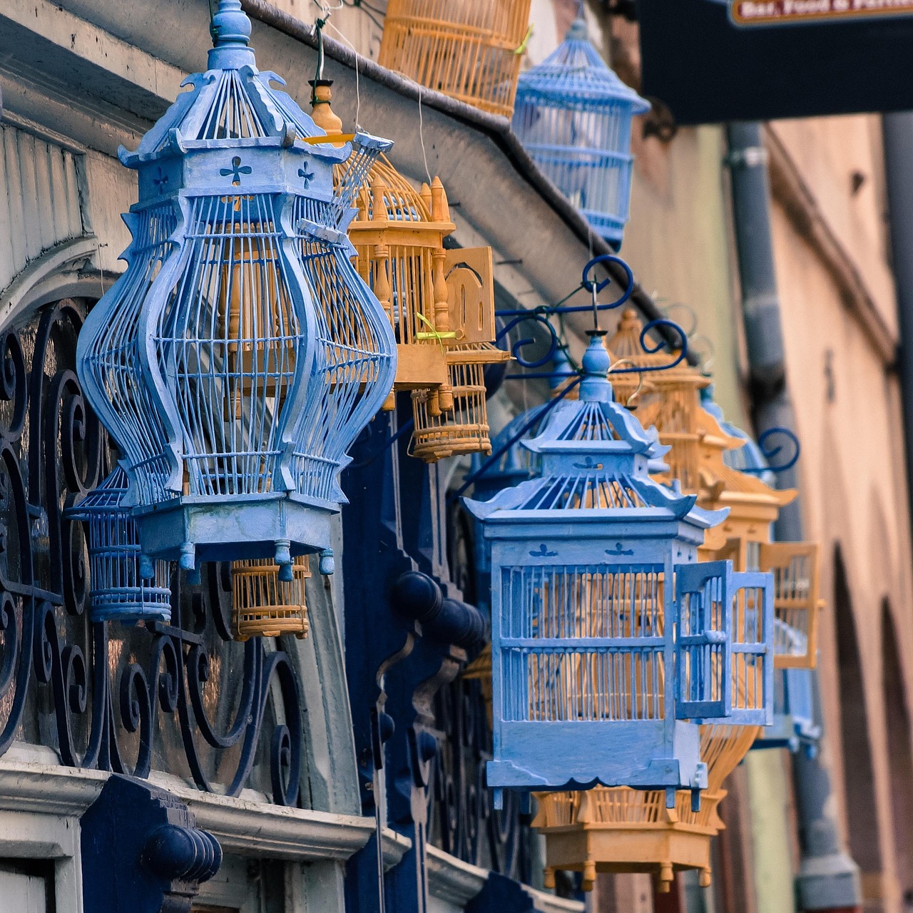 《梦之雫、黄金鸟笼》影评：这部电影值得一看吗？, 情感深度和视觉冲击如何？