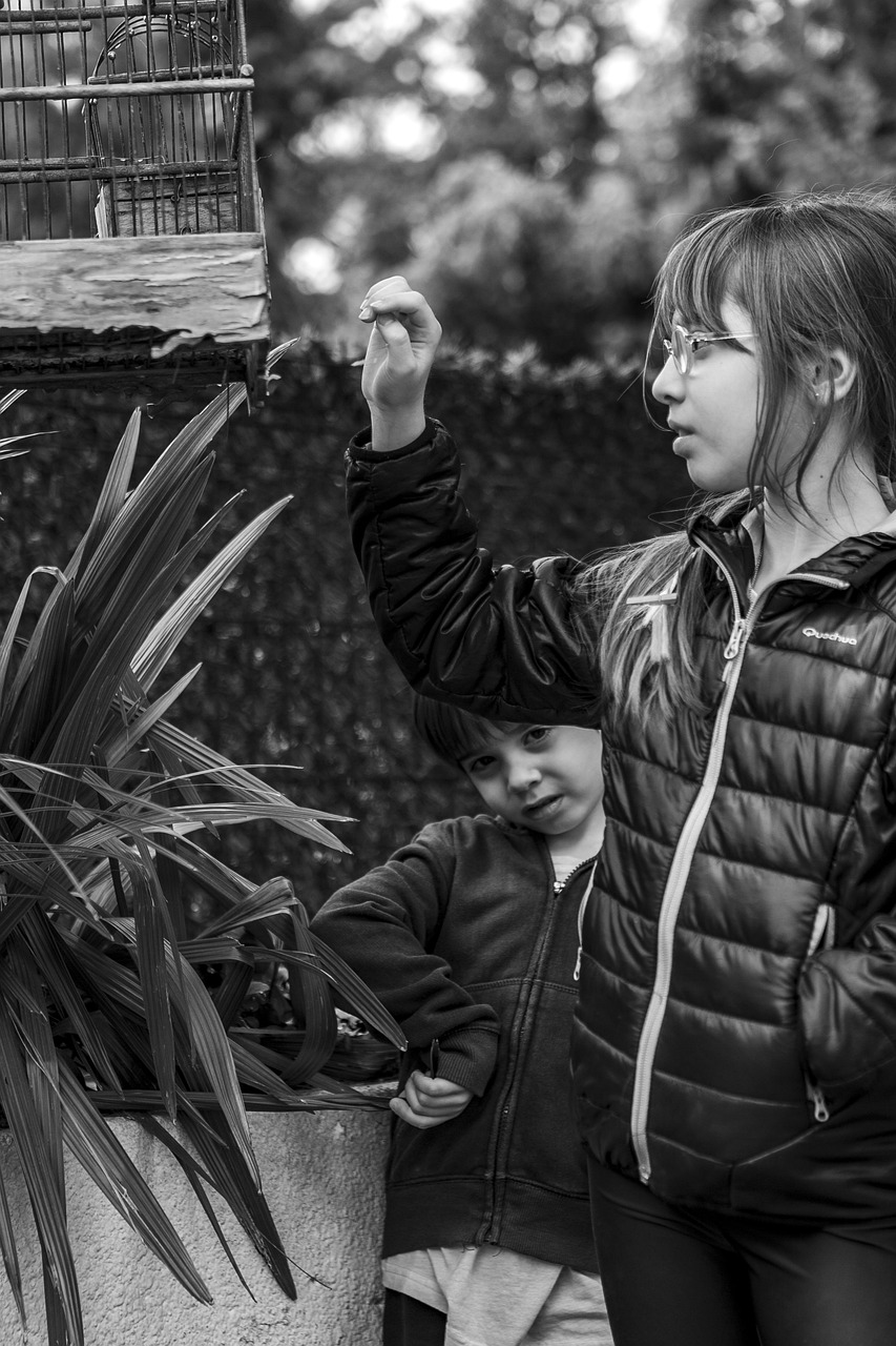 《外国男孩别碰我》影评:文化冲突下的自我探索,情感共鸣与社会反响 《外国男孩别碰我》影评:文化冲突下的自我探索,情感共鸣与社会反响