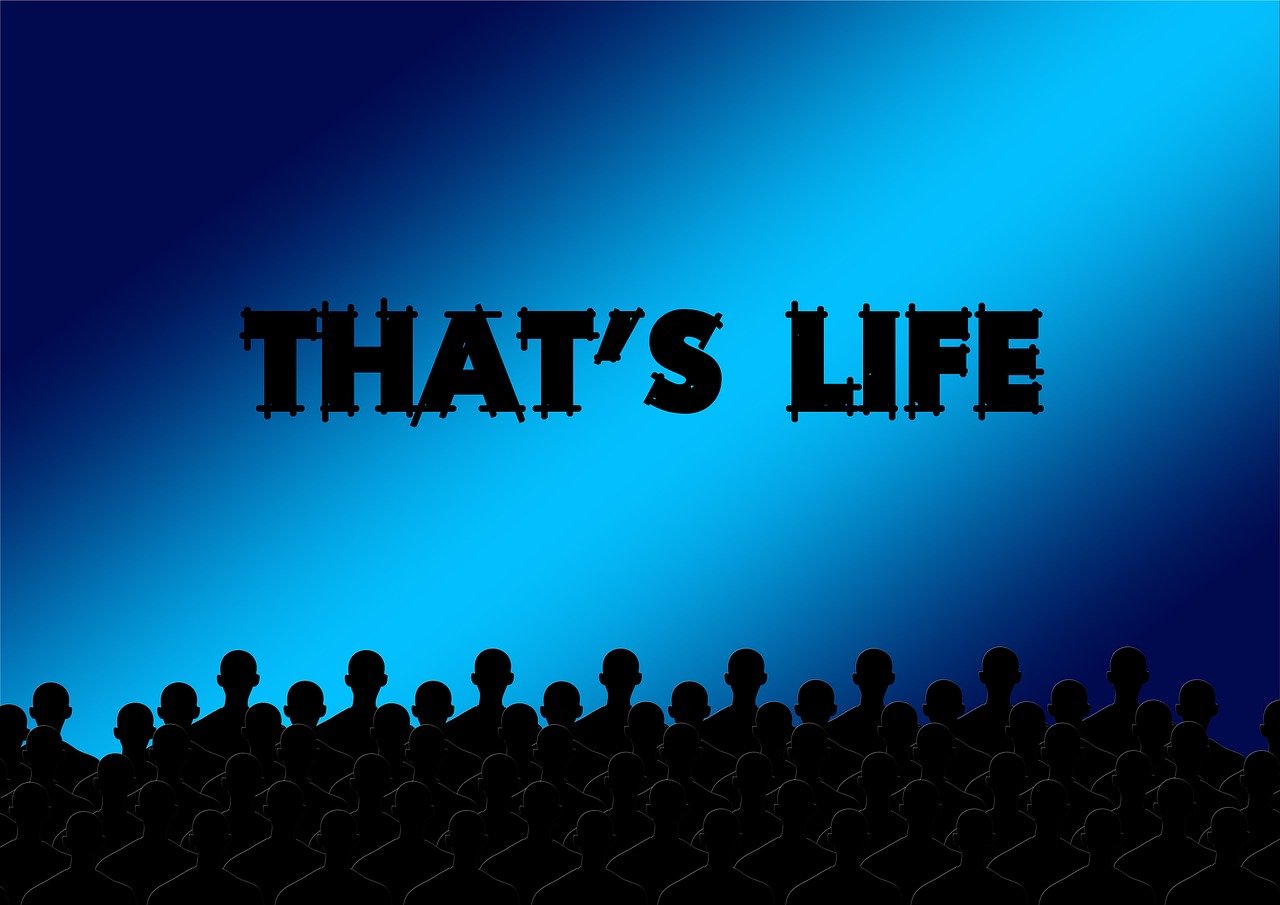 《铁三角》影评:深度解析, 观众评价如何?影片亮点有哪些? 《铁三角》影评:深度解析, 观众评价如何?影片亮点有哪些?