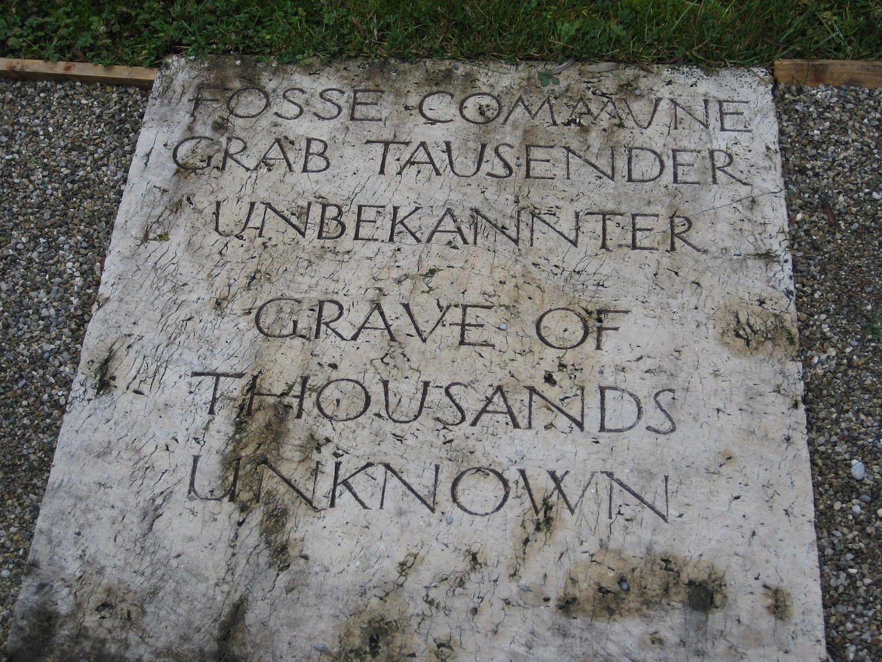 《辛亥革命》影评：历史还原度,情感共鸣,革命意义探讨